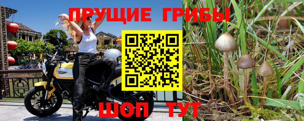 Псилоцибиновые грибы Magic Shrooms Волжск