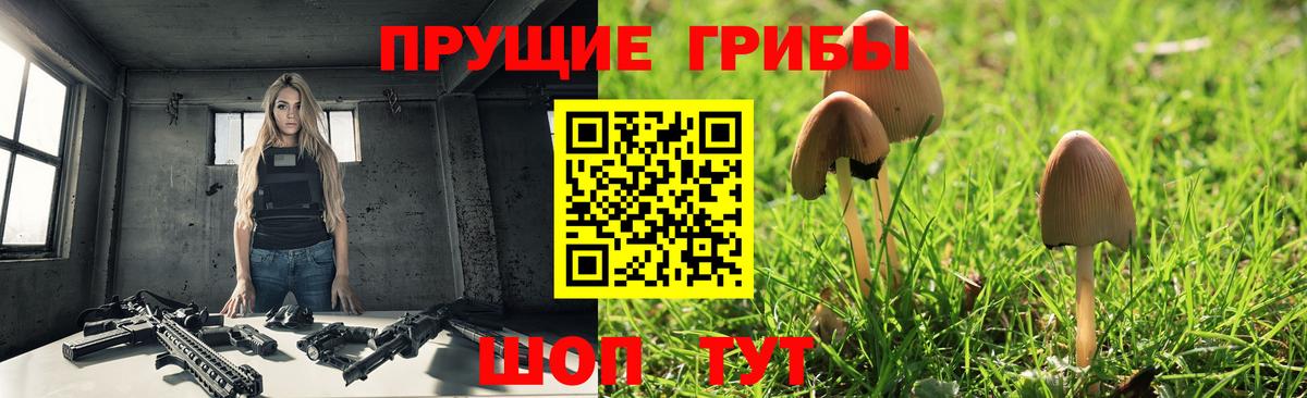Волжск  Галлюциногенные грибы мицелий  Вход с VPN 